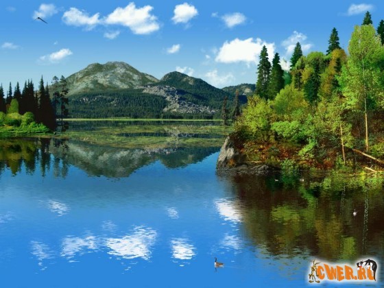 www.CWER.ws