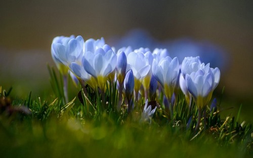 Computer Desktop Wallpapers Collection. www.cwer.ru
