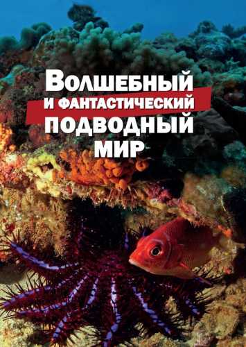 Волшебный и фантастический подводный мир