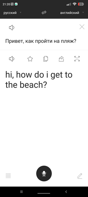 Talking Translator