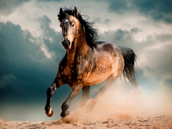 New Mixed HD Wallpapers Pack 357