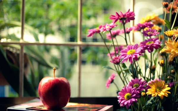 New Mixed HD Wallpapers Pack 331