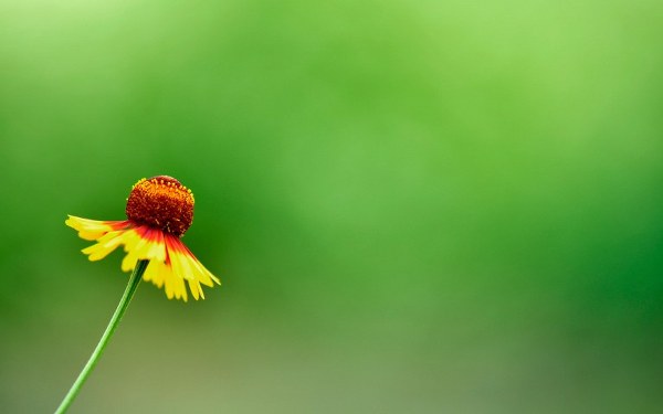 Best Mixed Wallpapers Pack #415-416
