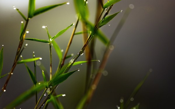 New Mixed HD Wallpapers Pack 292