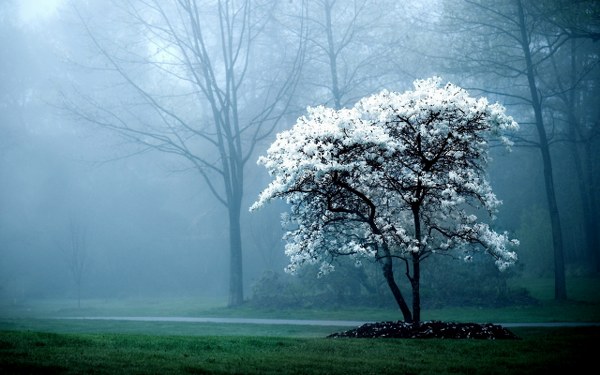 Best Mixed Wallpapers Pack #371-372