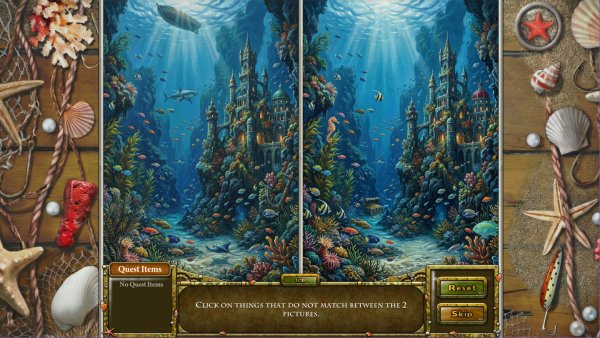 Coral Chronicles: Bookworms and Barnacles Collector’s Edition